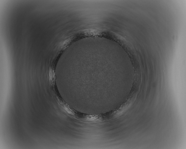 X0000116450624200912151301
