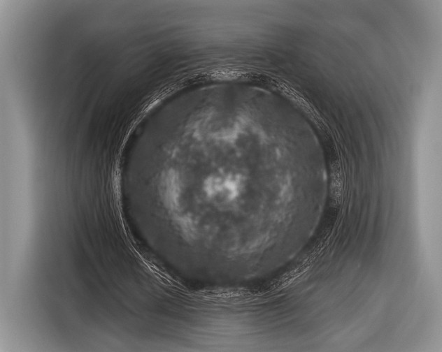 X0000116450626200912151301