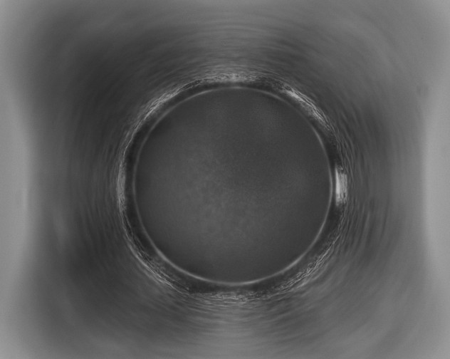 X0000116450627200912151301