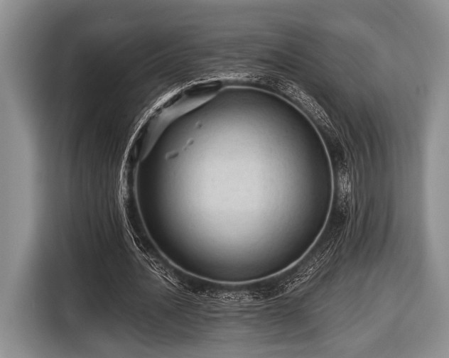 X0000116450628200912151301