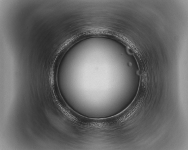 X0000116450629200912151301