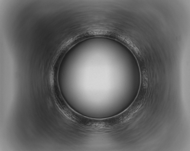 X0000116450631200912151301