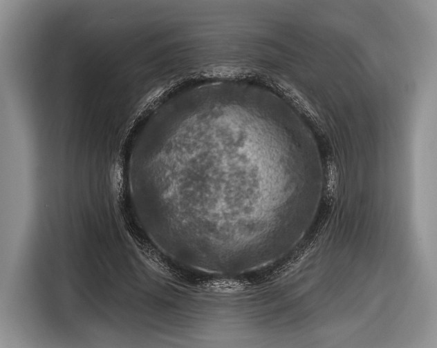 X0000116450636200912151301