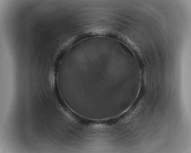 X0000116450637200912151301