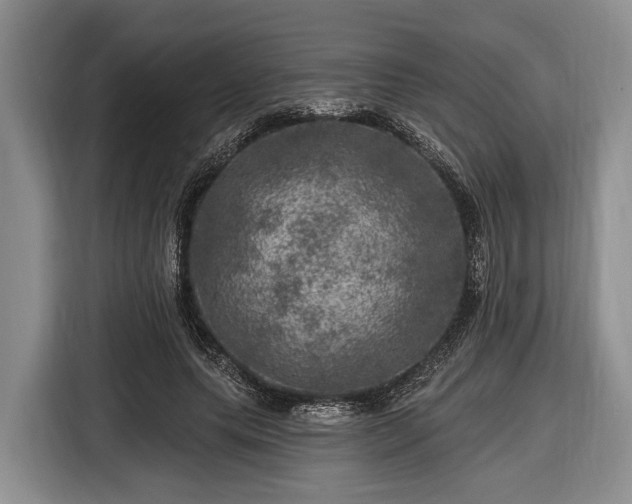 X0000116450639200912151301