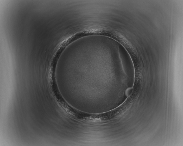 X0000116450640200912151301