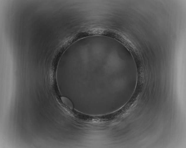 X0000116450641200912151301