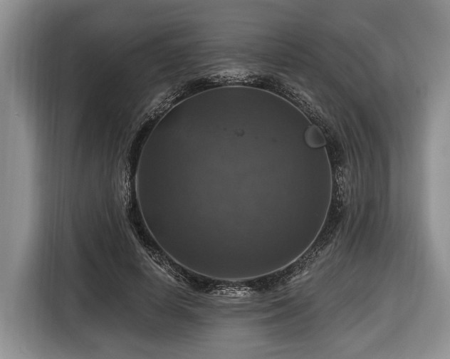 X0000116450642200912151301