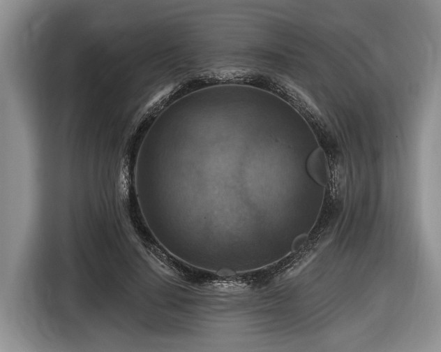 X0000116450644200912151301