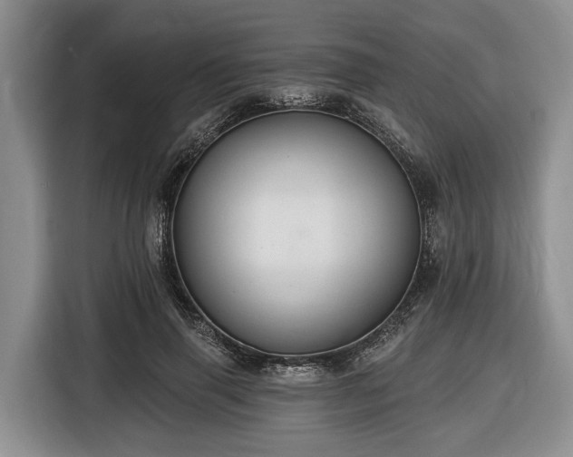 X0000116450645200912151301