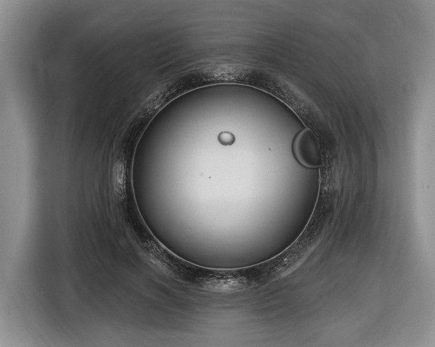 X0000116450646200912151301