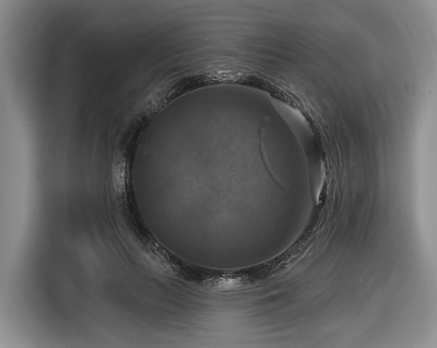 X0000116450647200912151301