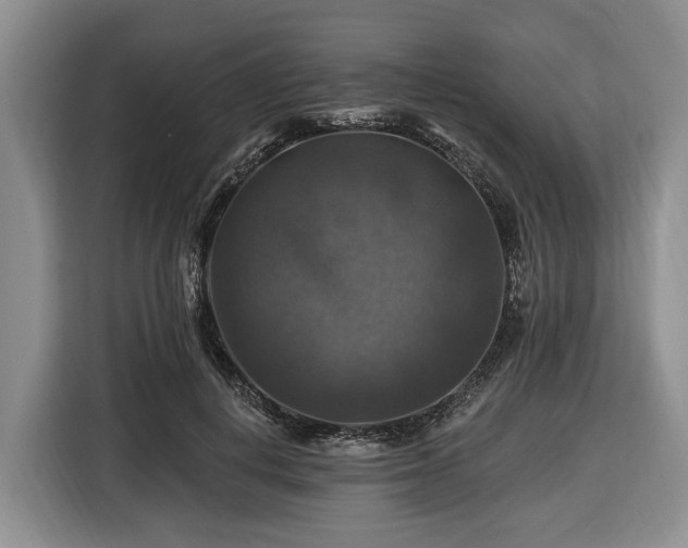 X0000116450648200912151301