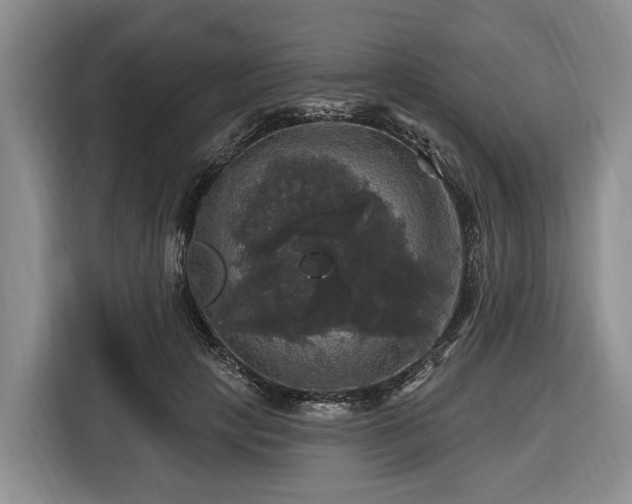 X0000116450649200912151301