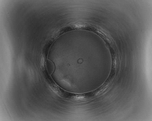 X0000116450651200912151301