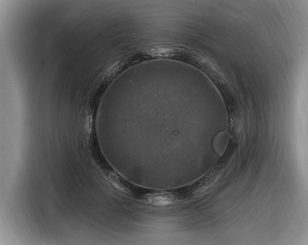 X0000116450652200912151301
