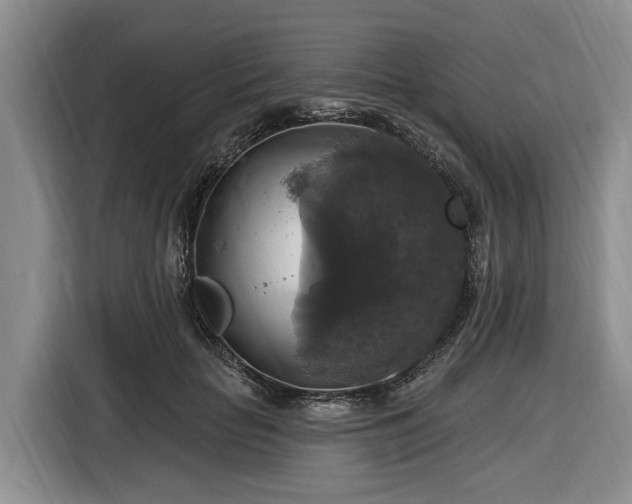 X0000116450653200912151301