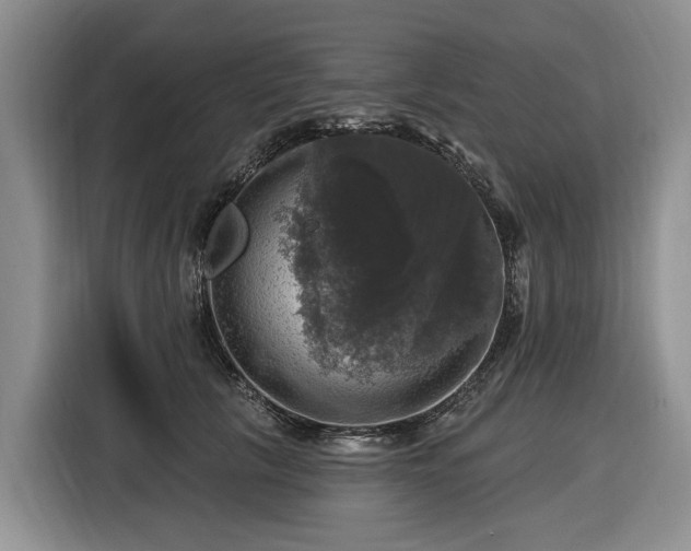 X0000116450657200912151301