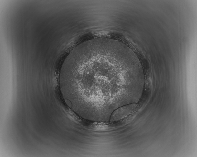 X0000116450658200912151301