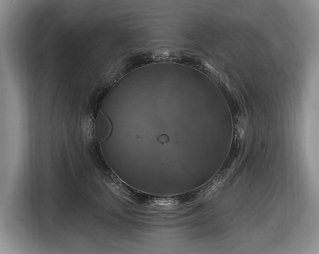 X0000116450659200912151301