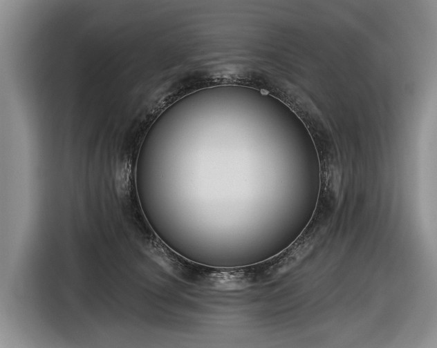 X0000116450660200912151301