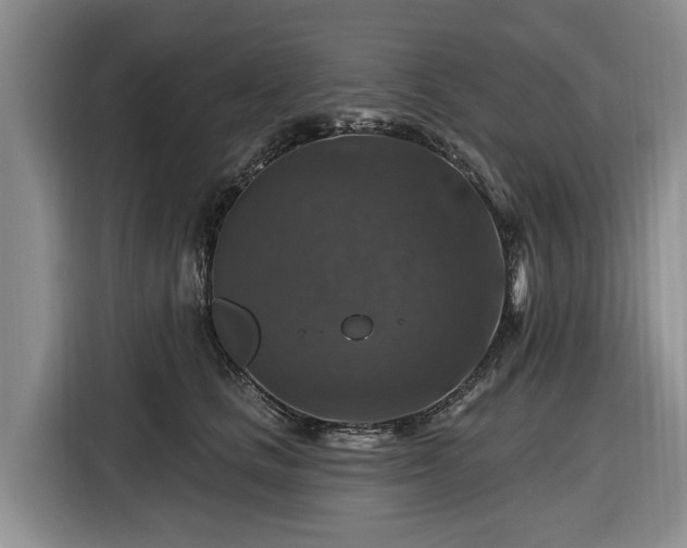 X0000116450661200912151301
