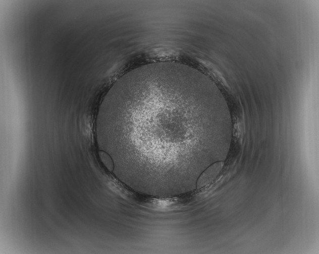 X0000116450662200912151301