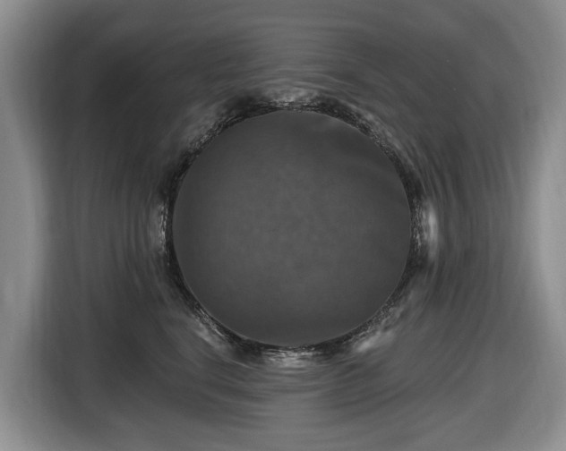 X0000116450664200912151301