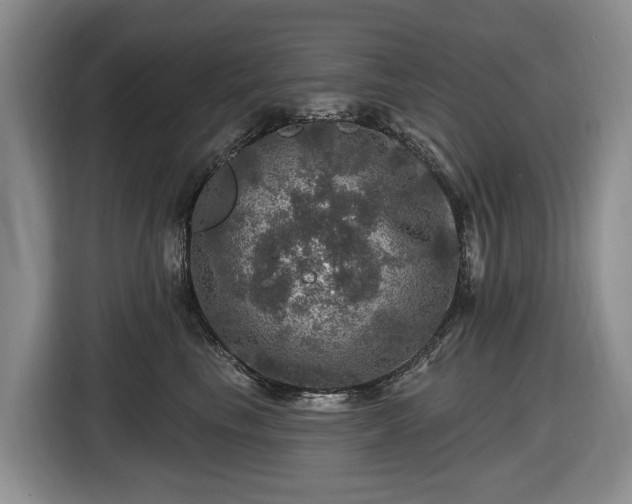 X0000116450665200912151301