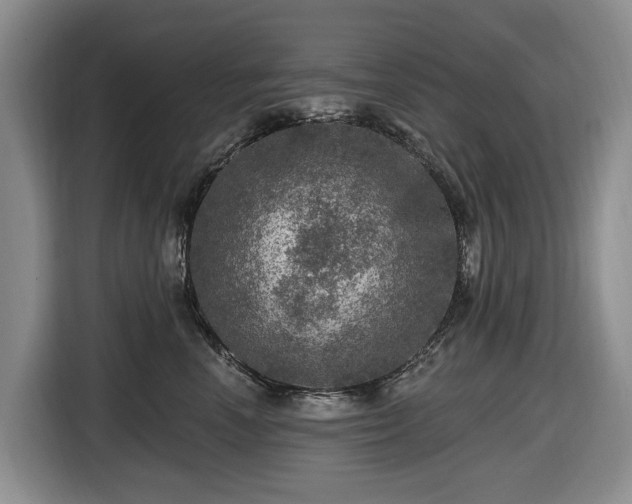 X0000116450666200912151301