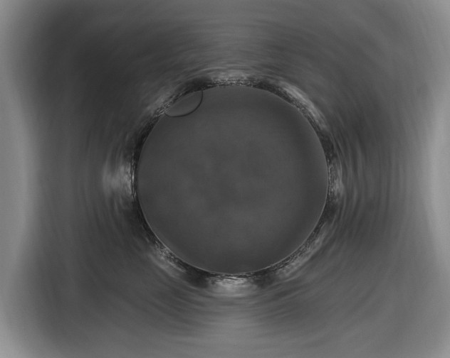 X0000116450669200912151301