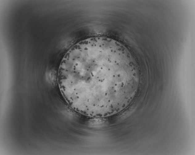X0000116450672200912151301