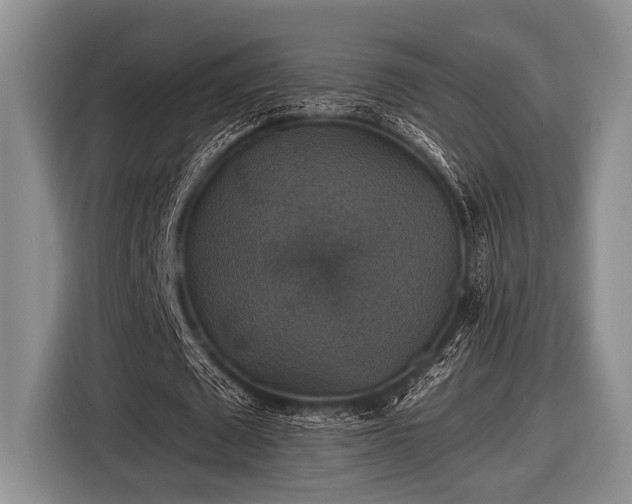 X0000116450673200912151300