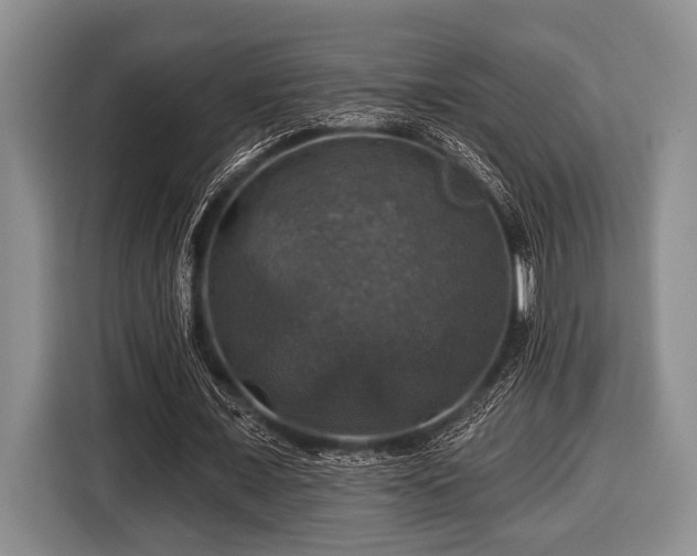 X0000116450675200912151300