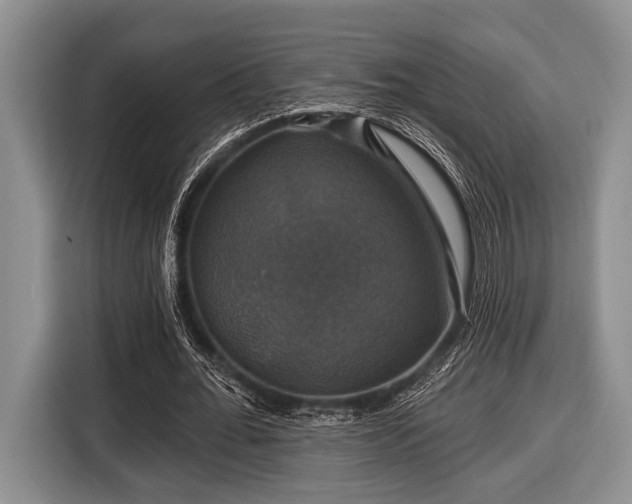 X0000116450676200912151300