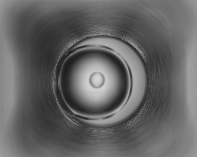 X0000116450677200912151300