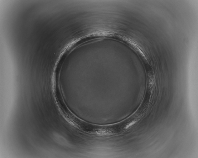 X0000116450678200912151300