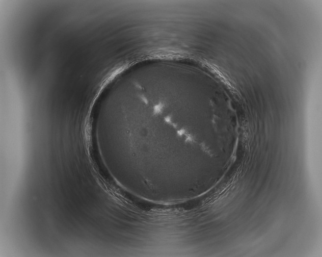X0000116450679200912151300