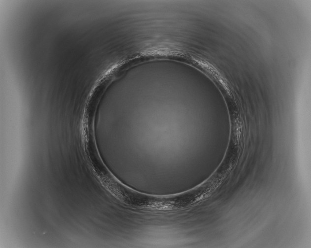 X0000116450680200912151300