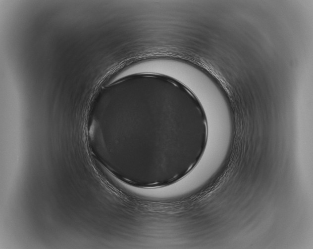 X0000116450681200912151300