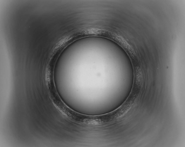 X0000116450683200912151300