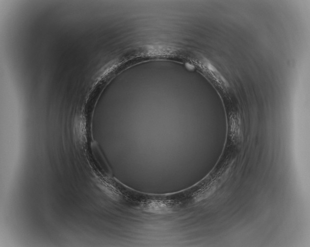 X0000116450684200912151300