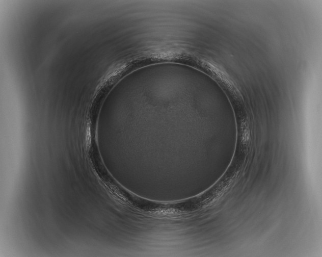 X0000116450685200912151300