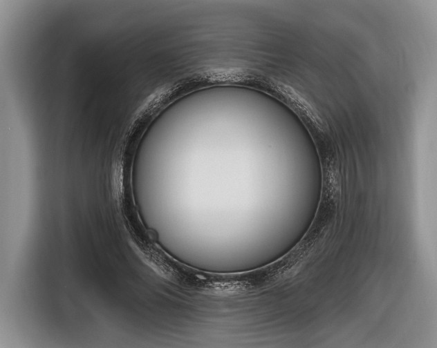 X0000116450686200912151300