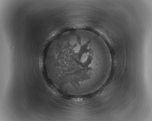 X0000116450687200912151300
