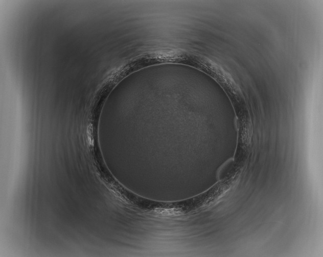 X0000116450689200912151300