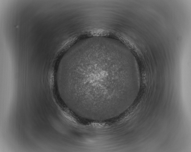 X0000116450690200912151300