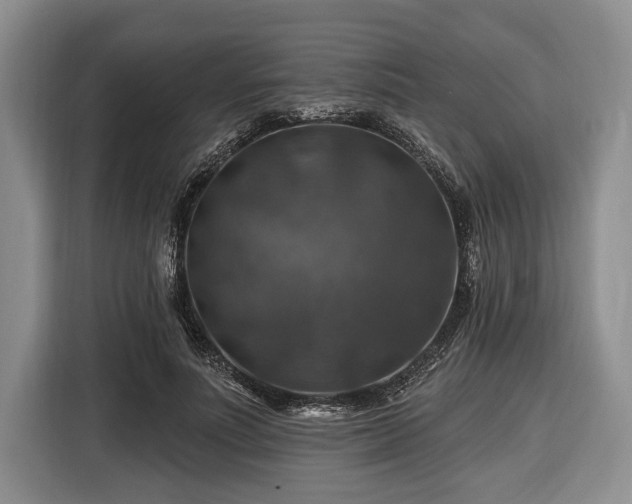 X0000116450691200912151300