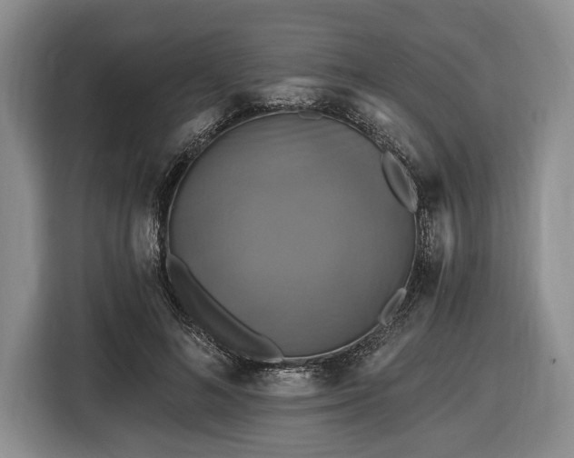 X0000116450692200912151300