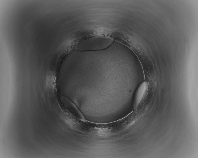 X0000116450693200912151300